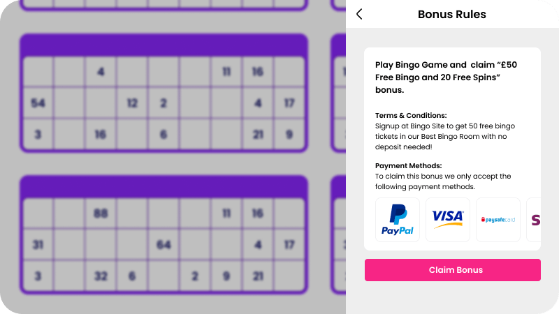 An example of what payment method restrictions look like on a bingo site